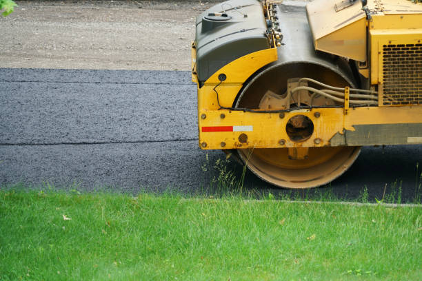 Best Driveway Border and Edging  in Okeechobee, FL